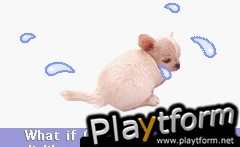 Pocket Dogs (Game Boy Advance)