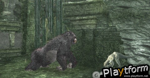 Peter Jackson's King Kong: The Official Game of the Movie (PSP)