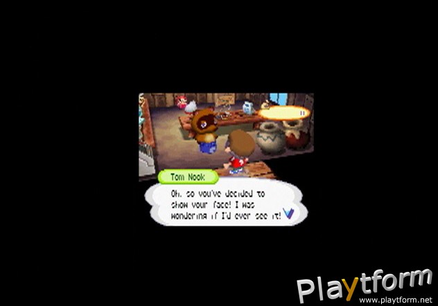 Animal Crossing: Wild World (DS)