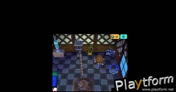 Animal Crossing: Wild World (DS)