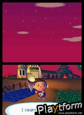 Animal Crossing: Wild World (DS)