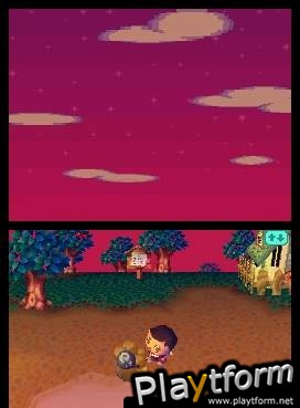 Animal Crossing: Wild World (DS)