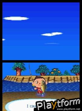 Animal Crossing: Wild World (DS)