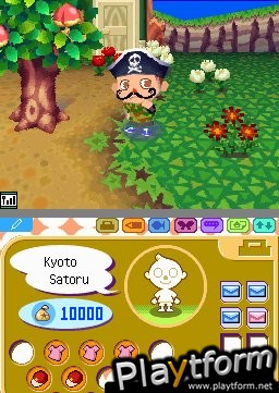 Animal Crossing: Wild World (DS)