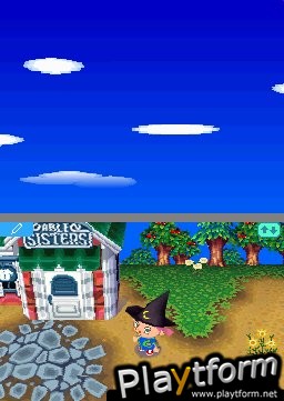 Animal Crossing: Wild World (DS)