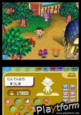 Animal Crossing: Wild World (DS)