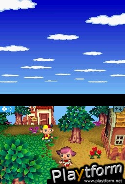 Animal Crossing: Wild World (DS)