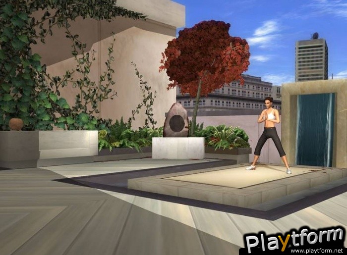 EyeToy: Kinetic (PlayStation 2)