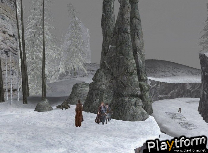 The Chronicles of Narnia: The Lion, The Witch and The Wardrobe (PC)