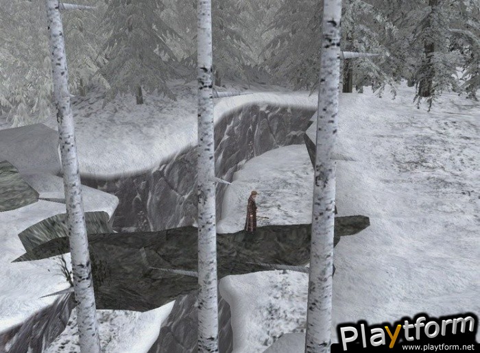 The Chronicles of Narnia: The Lion, The Witch and The Wardrobe (PC)