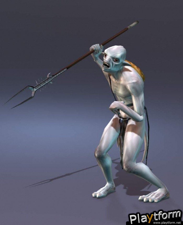 The Chronicles of Narnia: The Lion, The Witch and The Wardrobe (PC)
