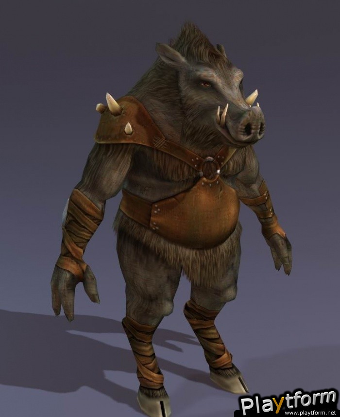 The Chronicles of Narnia: The Lion, The Witch and The Wardrobe (PC)