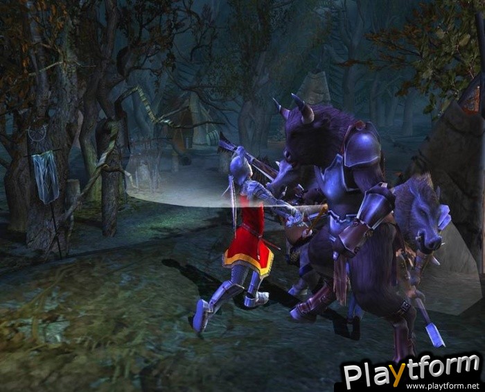 The Chronicles of Narnia: The Lion, The Witch and The Wardrobe (PlayStation 2)