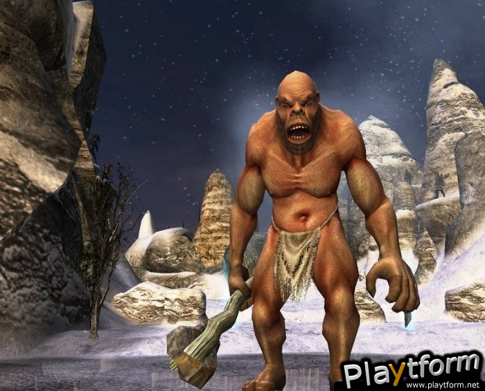The Chronicles of Narnia: The Lion, The Witch and The Wardrobe (PlayStation 2)