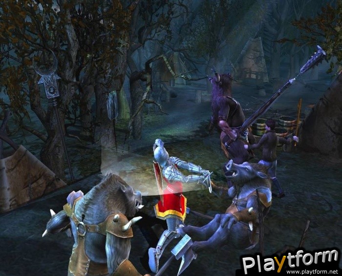 The Chronicles of Narnia: The Lion, The Witch and The Wardrobe (PlayStation 2)