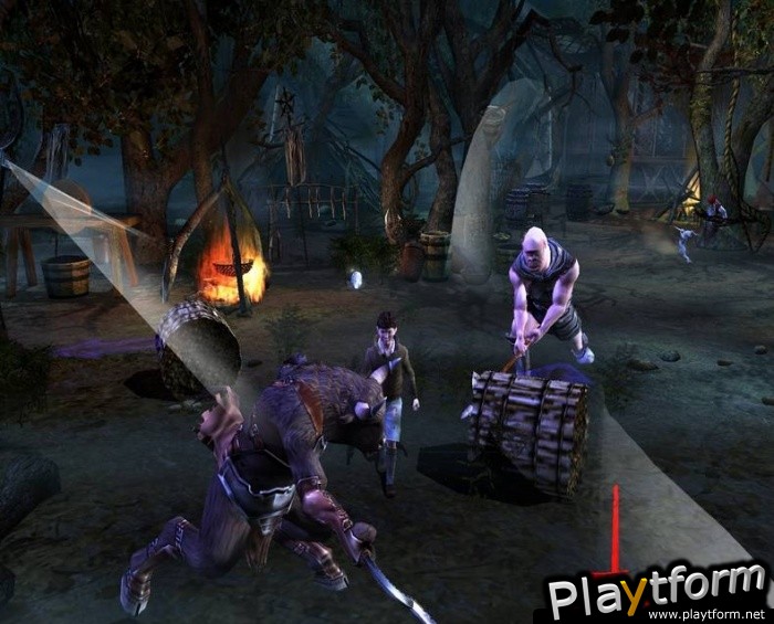 The Chronicles of Narnia: The Lion, The Witch and The Wardrobe (PlayStation 2)