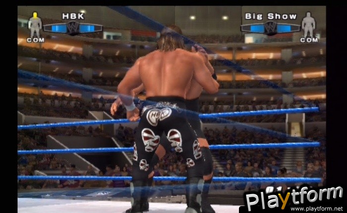WWE SmackDown! vs. Raw 2006 (PlayStation 2)