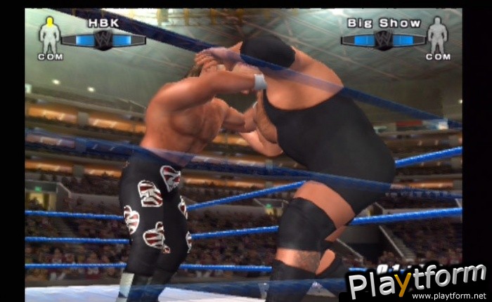 WWE SmackDown! vs. Raw 2006 (PlayStation 2)