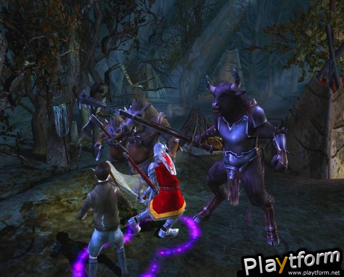 The Chronicles of Narnia: The Lion, The Witch and The Wardrobe (GameCube)