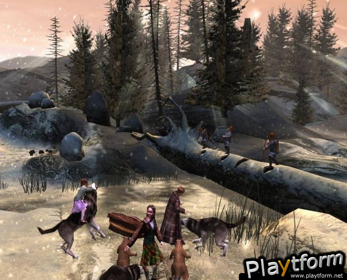 The Chronicles of Narnia: The Lion, The Witch and The Wardrobe (Xbox)