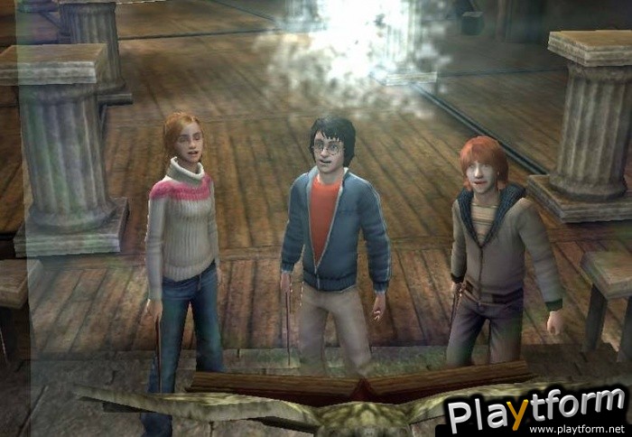 Harry Potter and the Goblet of Fire (PC)