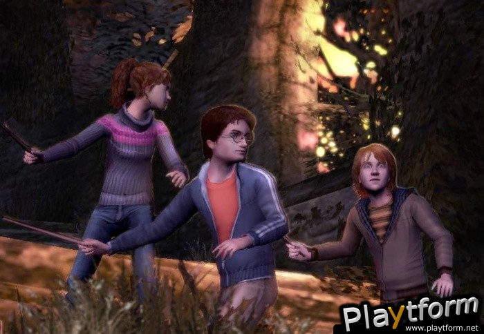 Harry Potter and the Goblet of Fire (PC)