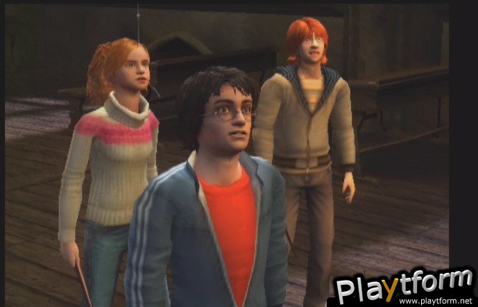 Harry Potter and the Goblet of Fire (PlayStation 2)