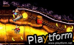 Donkey Kong Country 3 (Game Boy Advance)