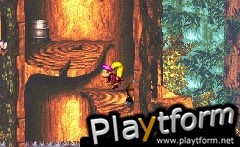 Donkey Kong Country 3 (Game Boy Advance)
