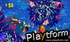 Donkey Kong Country 3 (Game Boy Advance)