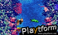 Donkey Kong Country 3 (Game Boy Advance)