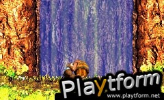 Donkey Kong Country 3 (Game Boy Advance)