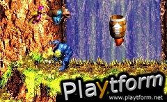 Donkey Kong Country 3 (Game Boy Advance)