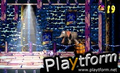 Donkey Kong Country 3 (Game Boy Advance)