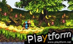 Donkey Kong Country 3 (Game Boy Advance)