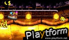 Donkey Kong Country 3 (Game Boy Advance)