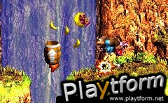 Donkey Kong Country 3 (Game Boy Advance)