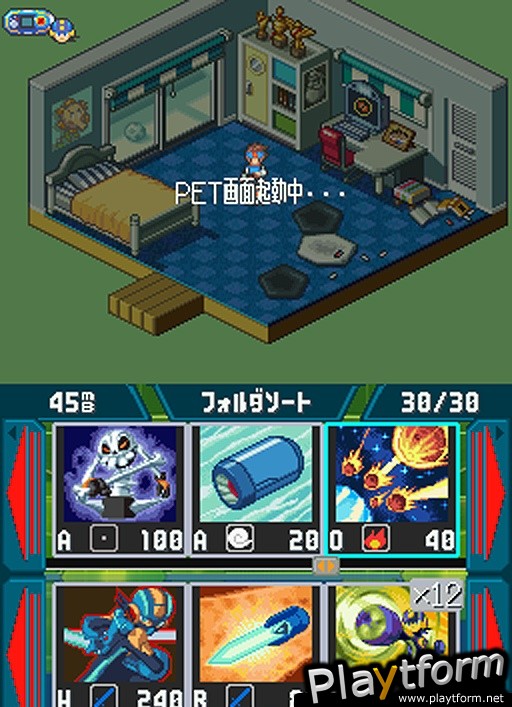 Mega Man Battle Network 5: Double Team (DS)