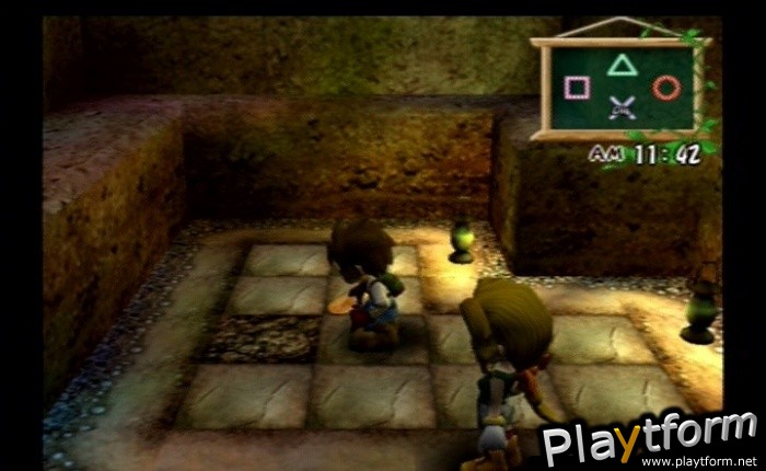 Harvest Moon: A Wonderful Life Special Edition (PlayStation 2)