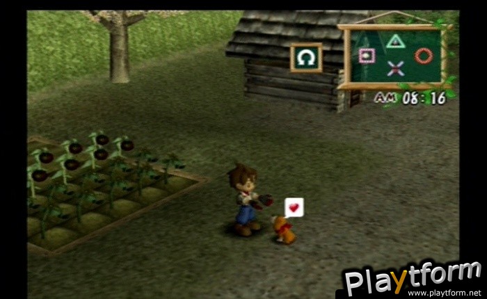 Harvest Moon: A Wonderful Life Special Edition (PlayStation 2)