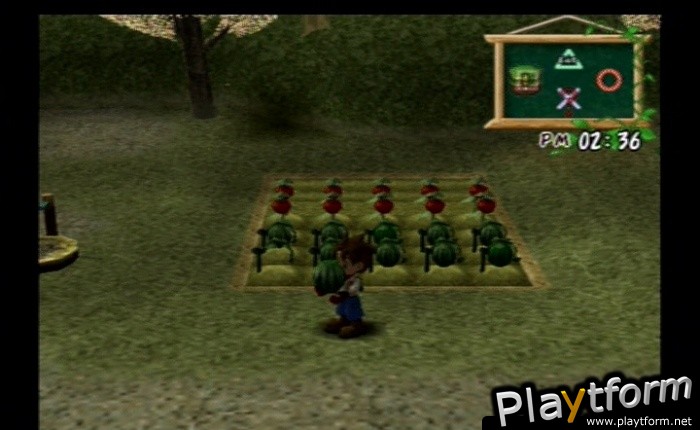 Harvest Moon: A Wonderful Life Special Edition (PlayStation 2)
