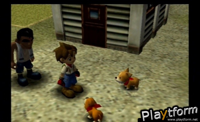 Harvest Moon: A Wonderful Life Special Edition (PlayStation 2)
