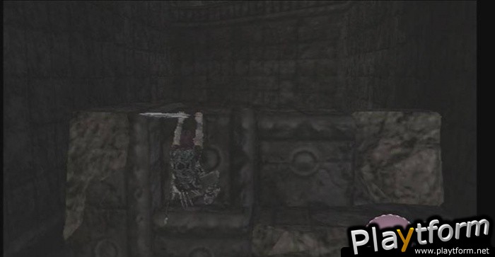 Shadow of the Colossus (PlayStation 2)