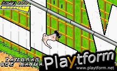 Tony Hawk's American Sk8land (Game Boy Advance)