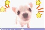 Pocket Dogs (Game Boy Advance)