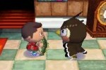 Animal Crossing: Wild World (DS)