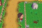 Animal Crossing: Wild World (DS)