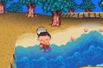 Animal Crossing: Wild World (DS)