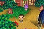 Animal Crossing: Wild World (DS)