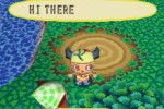 Animal Crossing: Wild World (DS)